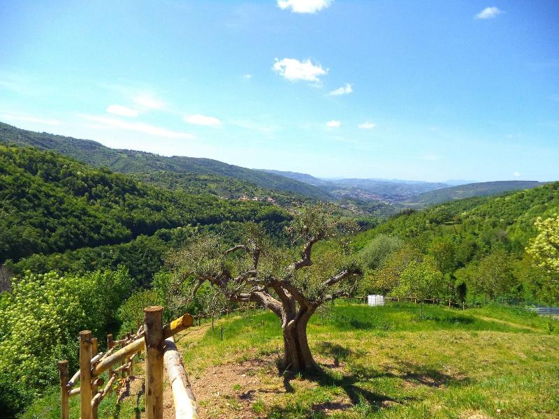L'Alba dei Due Soli B&B — general view