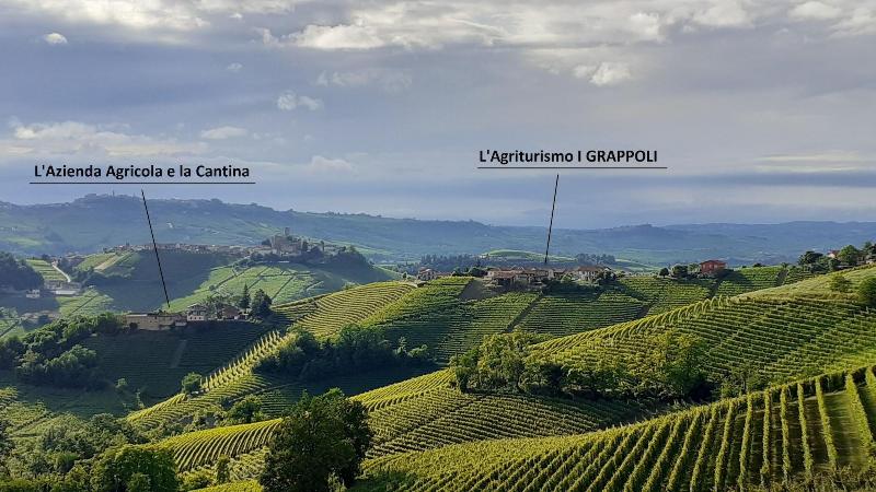 Agriturismo i Grappoli image