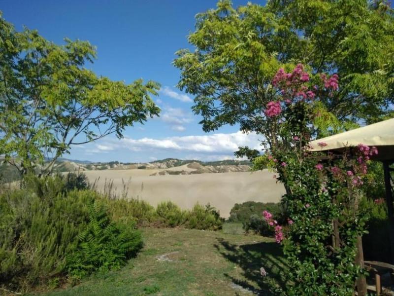 Fattoria Lischeto image