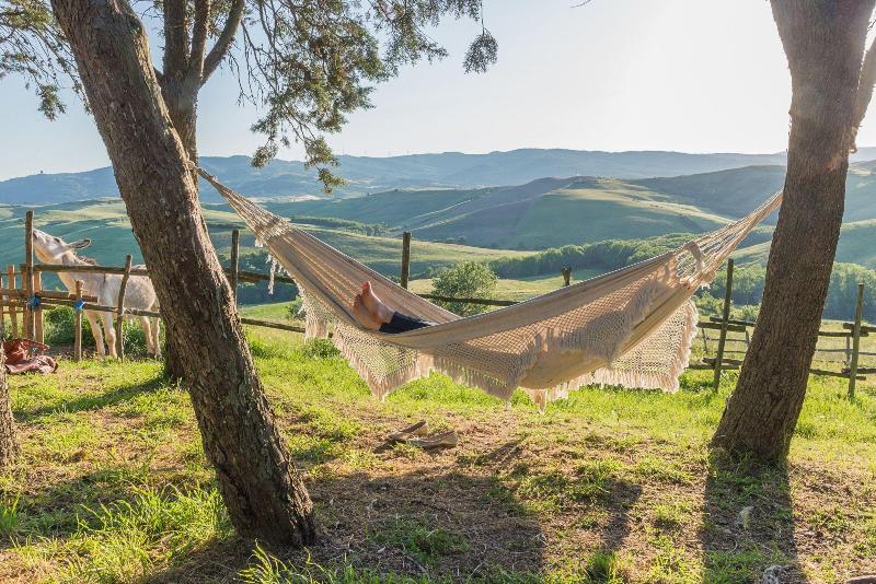Fattoria Lischeto image