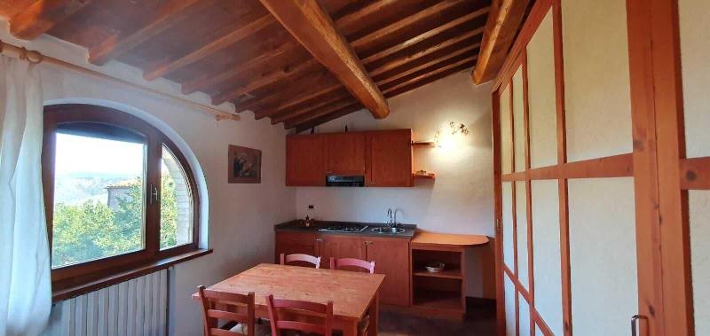 Fattoria Lischeto image