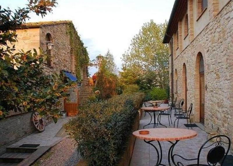 Fattoria Lischeto image