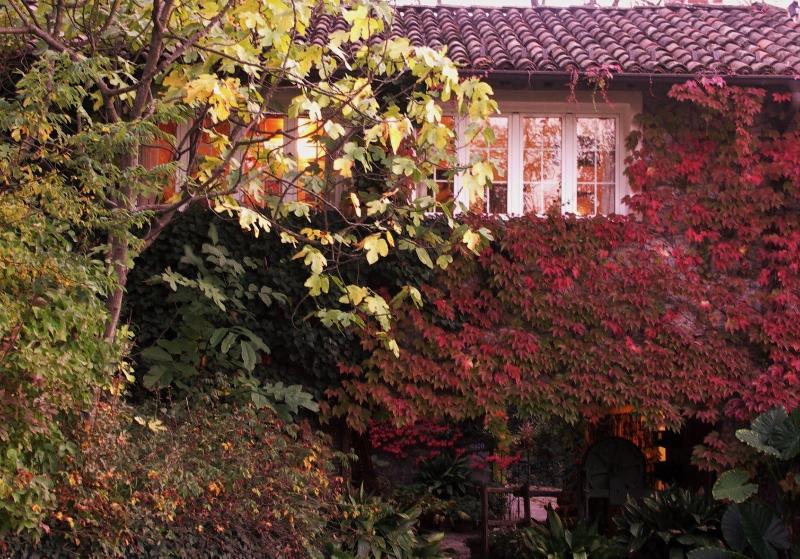 La Traversina - Agriturismo di Charme image
