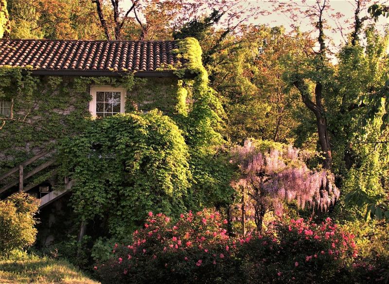 La Traversina - Agriturismo di Charme image