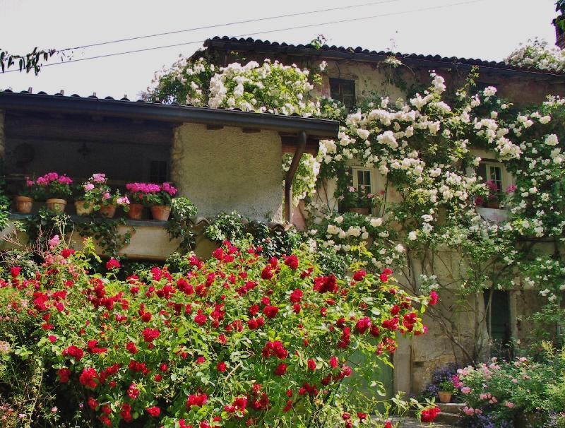 La Traversina - Agriturismo di Charme image