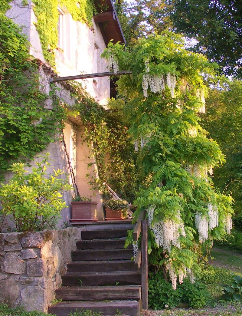 La Traversina - Agriturismo di Charme image