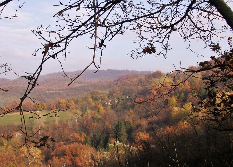 La Traversina - Agriturismo di Charme image