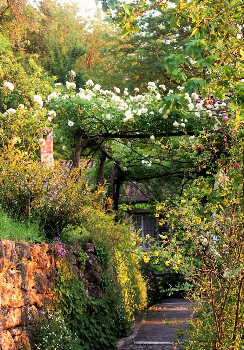 La Traversina - Agriturismo di Charme image