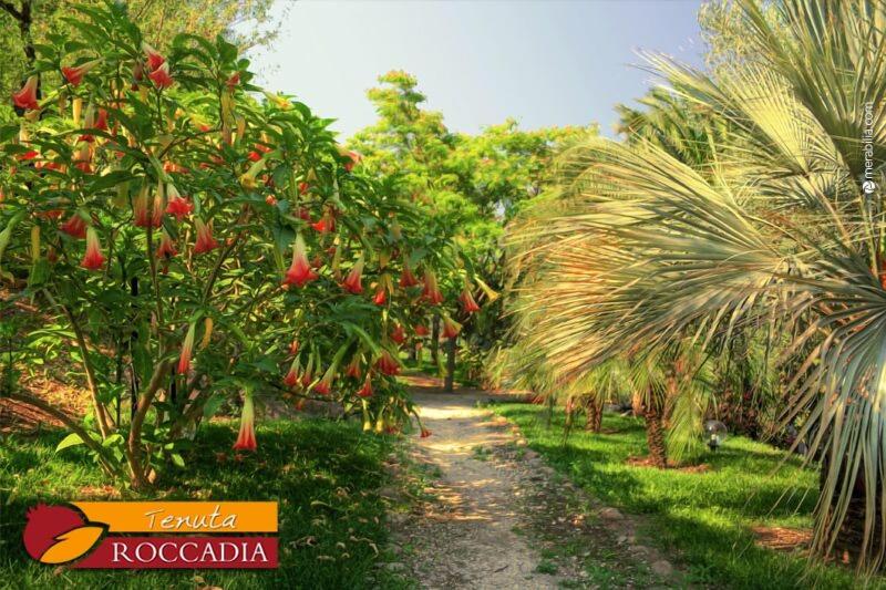 Tenuta di Roccadia image
