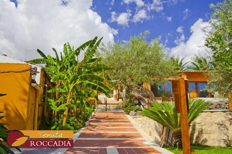 Tenuta di Roccadia image