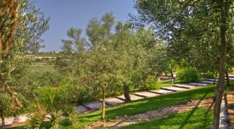 Tenuta di Roccadia image