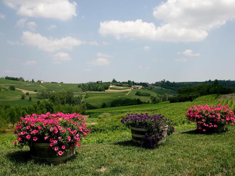 Bricco San Giovanni image