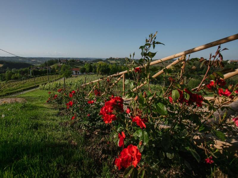 Bricco San Giovanni image