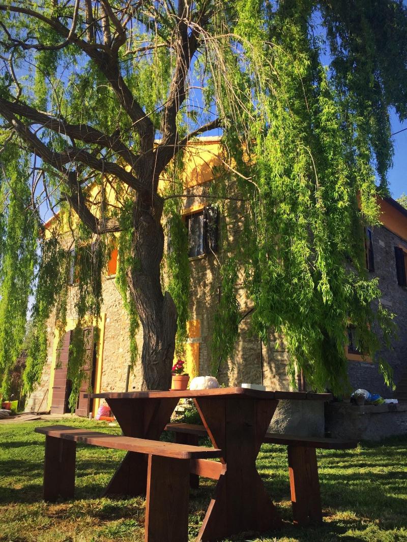 Bed & Breakfast Podere La Pace image