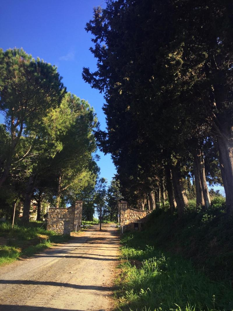 Bed & Breakfast Podere La Pace image