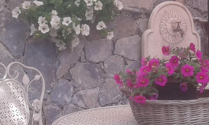 Dreams Guest House image