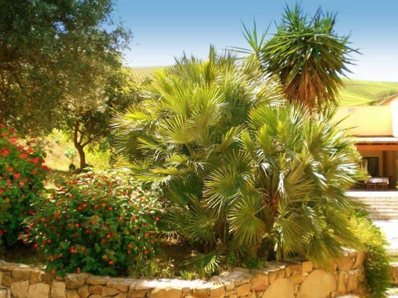Agriturismo Tarantola image