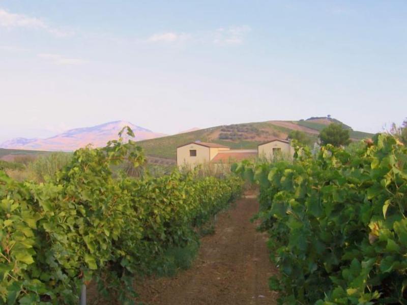 Agriturismo Tarantola image