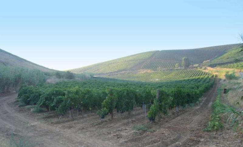 Agriturismo Tarantola image