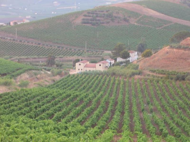 Agriturismo Tarantola image