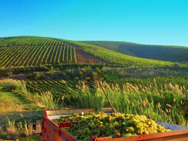 Agriturismo Tarantola image