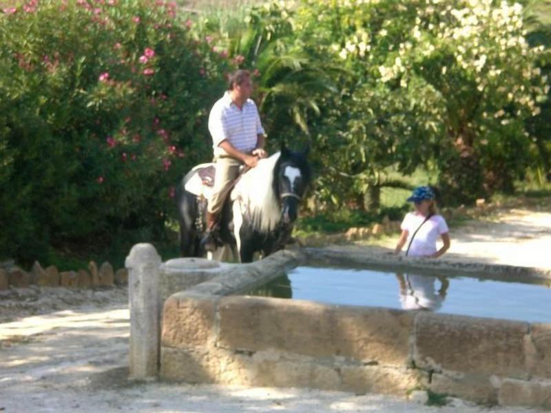 Agriturismo Tarantola image