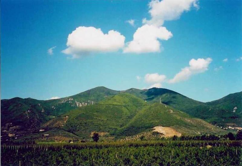 Agriturismo La Pisana image