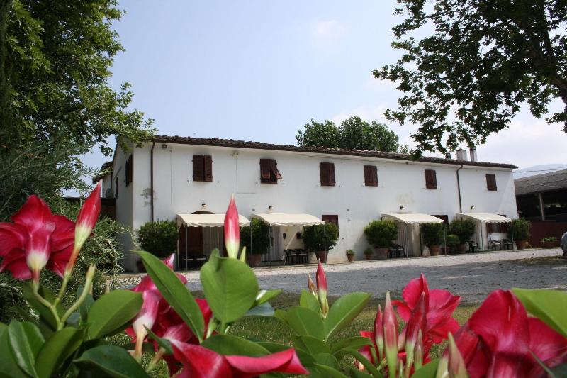 Agriturismo La Pisana image