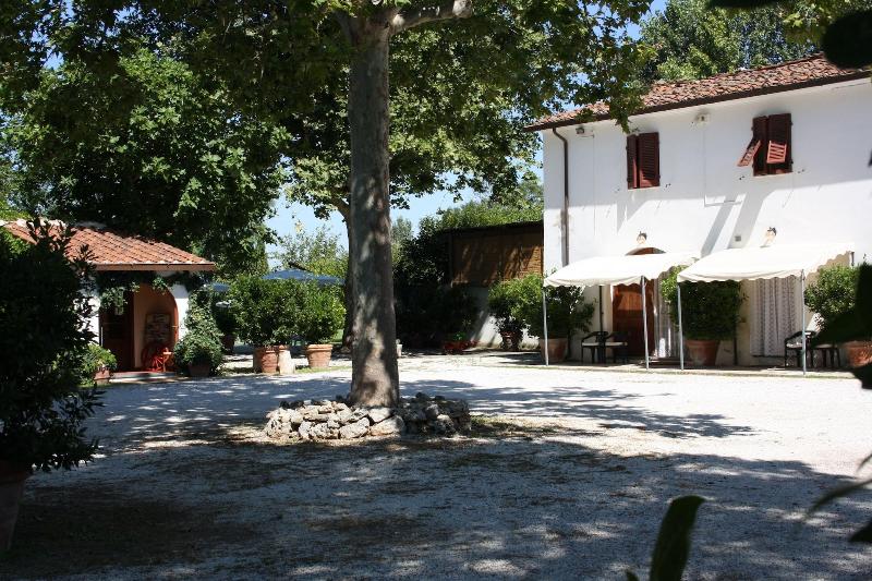 Agriturismo La Pisana image