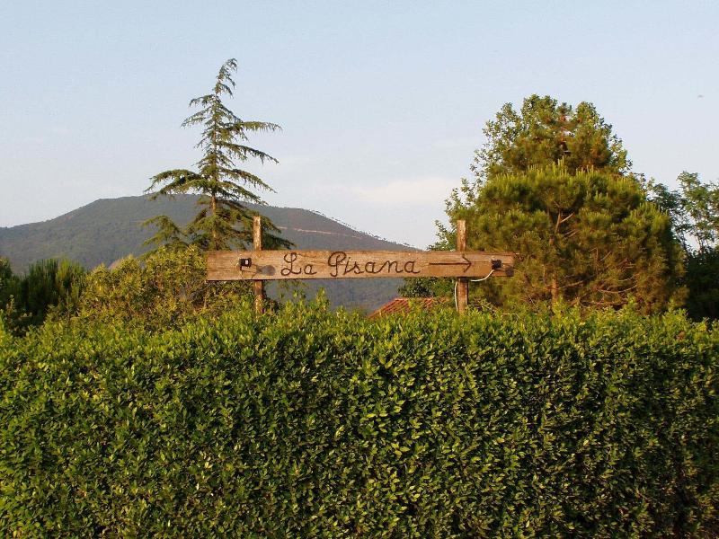 Agriturismo La Pisana image