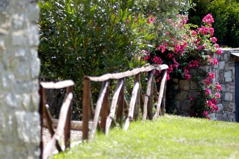 Collelungo image
