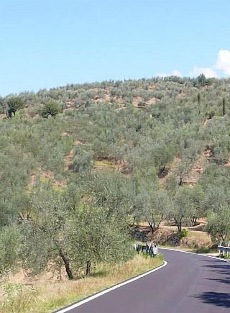 L'antico Trullo image