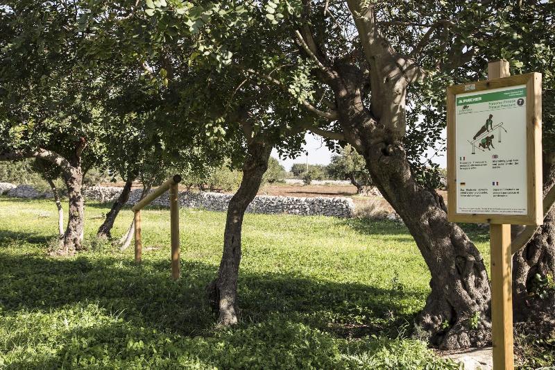 Agriturismo Masseria CianciÃ² image