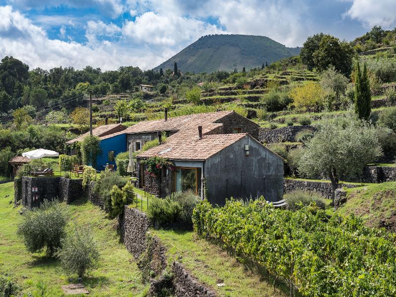 Monaci delle Terre Nere image