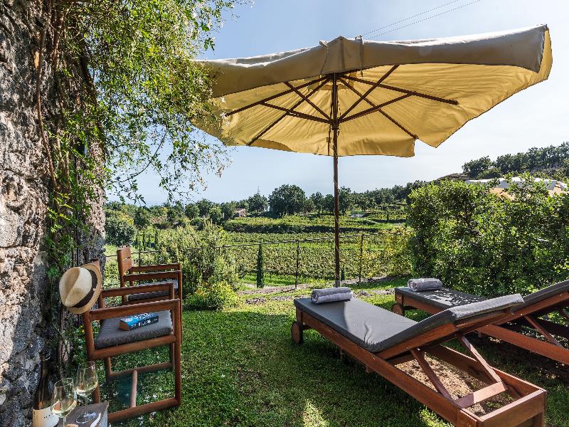 Monaci delle Terre Nere image