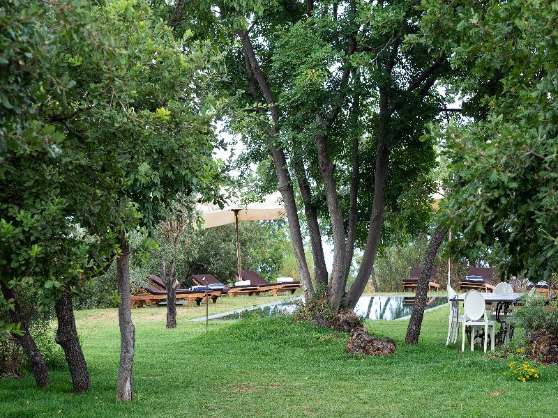 Monaci delle Terre Nere image