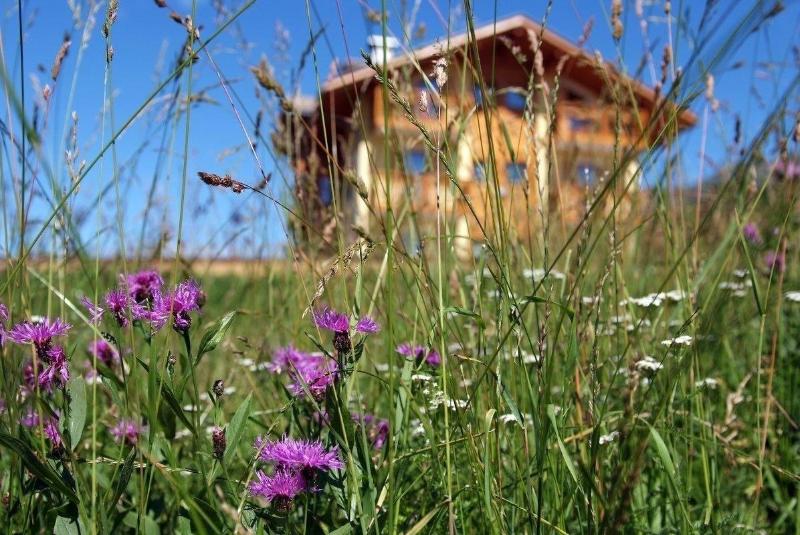 Agritur Maso Chemela image