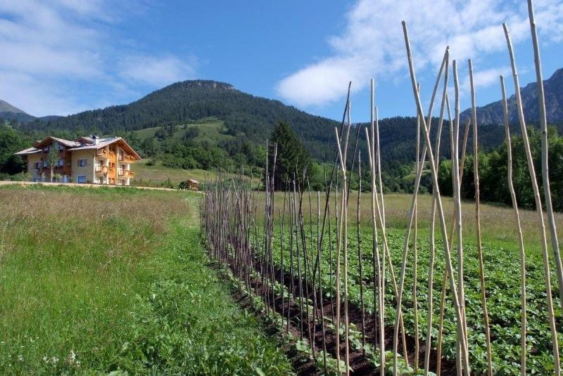 Agritur Maso Chemela image