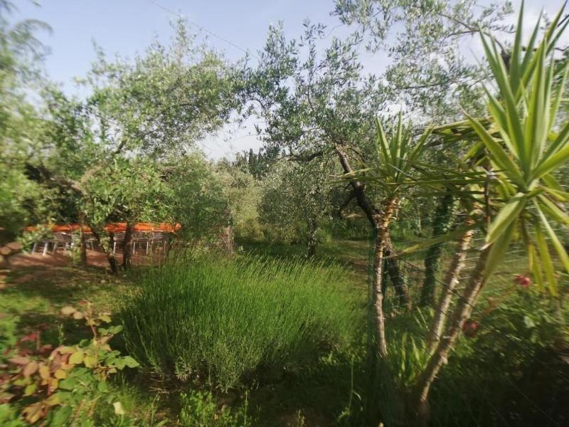 Agriturismo Crocino in Chianti image