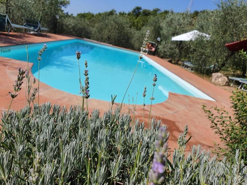 Agriturismo Crocino in Chianti image