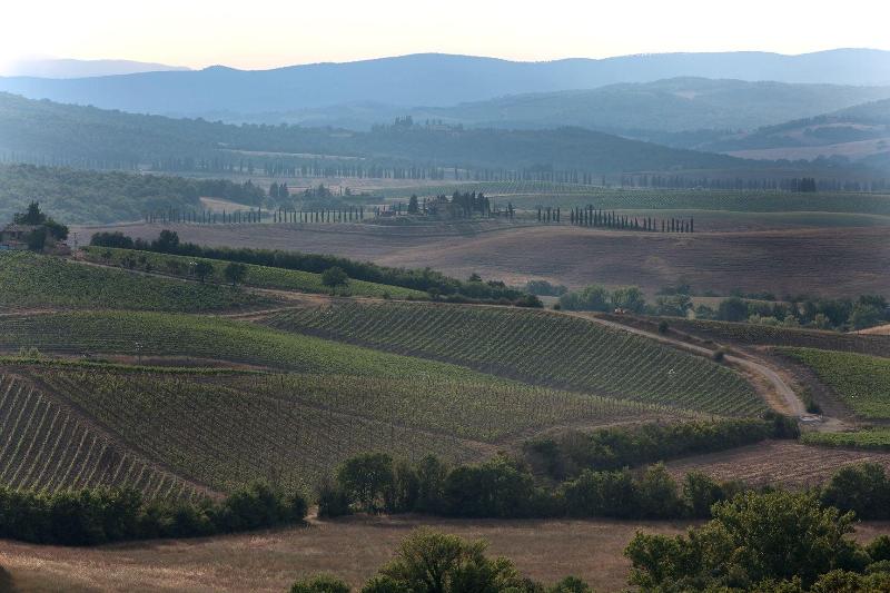 Agriturismo A. Bonacchi image