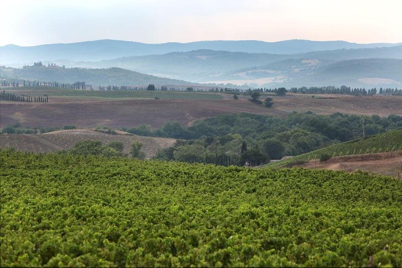 Agriturismo A. Bonacchi image