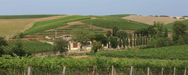 Agriturismo A. Bonacchi image