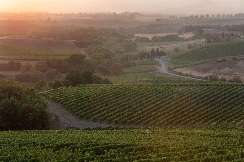 Agriturismo A. Bonacchi image