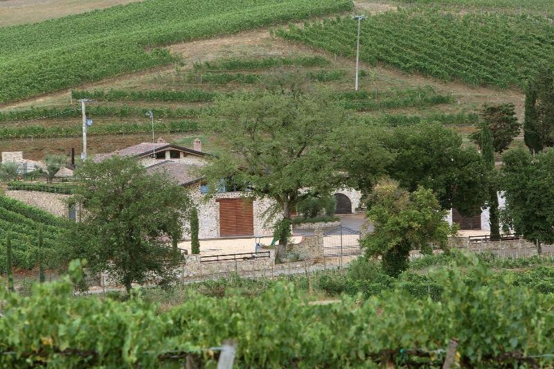 Agriturismo A. Bonacchi image