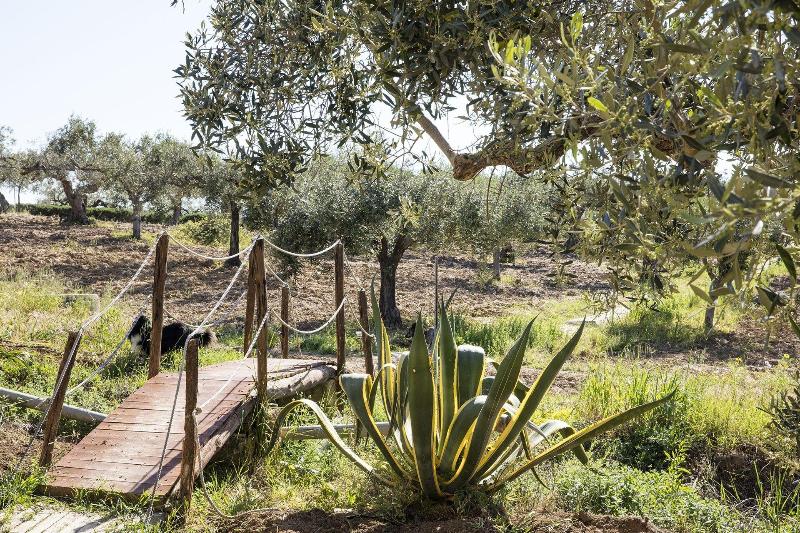 Agriturismo Baglio Vecchio image