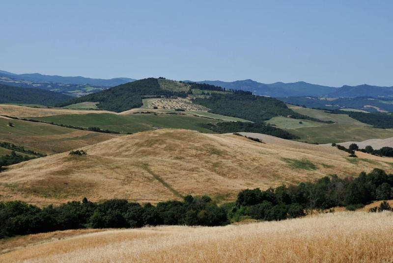 Agriturismo Mannaioni image