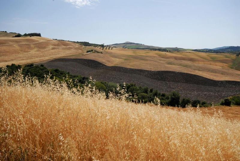 Agriturismo Mannaioni image