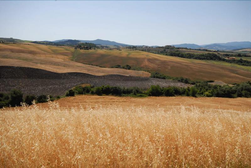 Agriturismo Mannaioni image