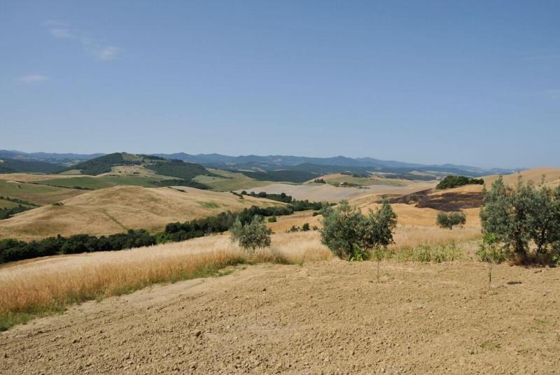 Agriturismo Mannaioni image